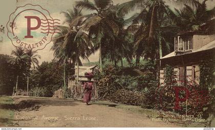 SIERRA LEONA. SIERRA LEONE. COCOANUT AVENUE.