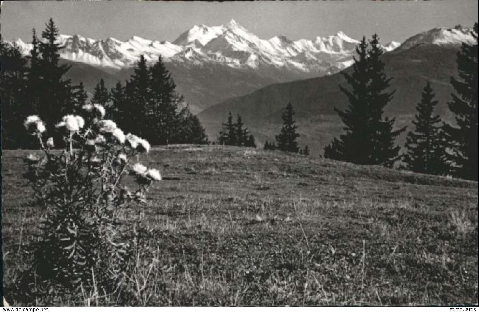 Sierre VS Sierre