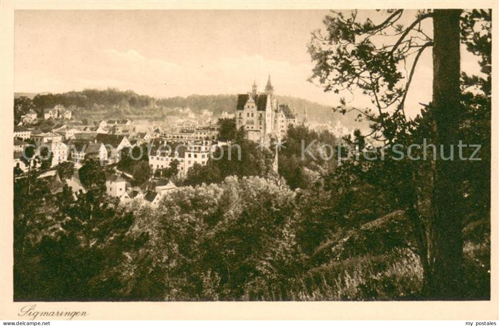 Sigmaringen Panorama