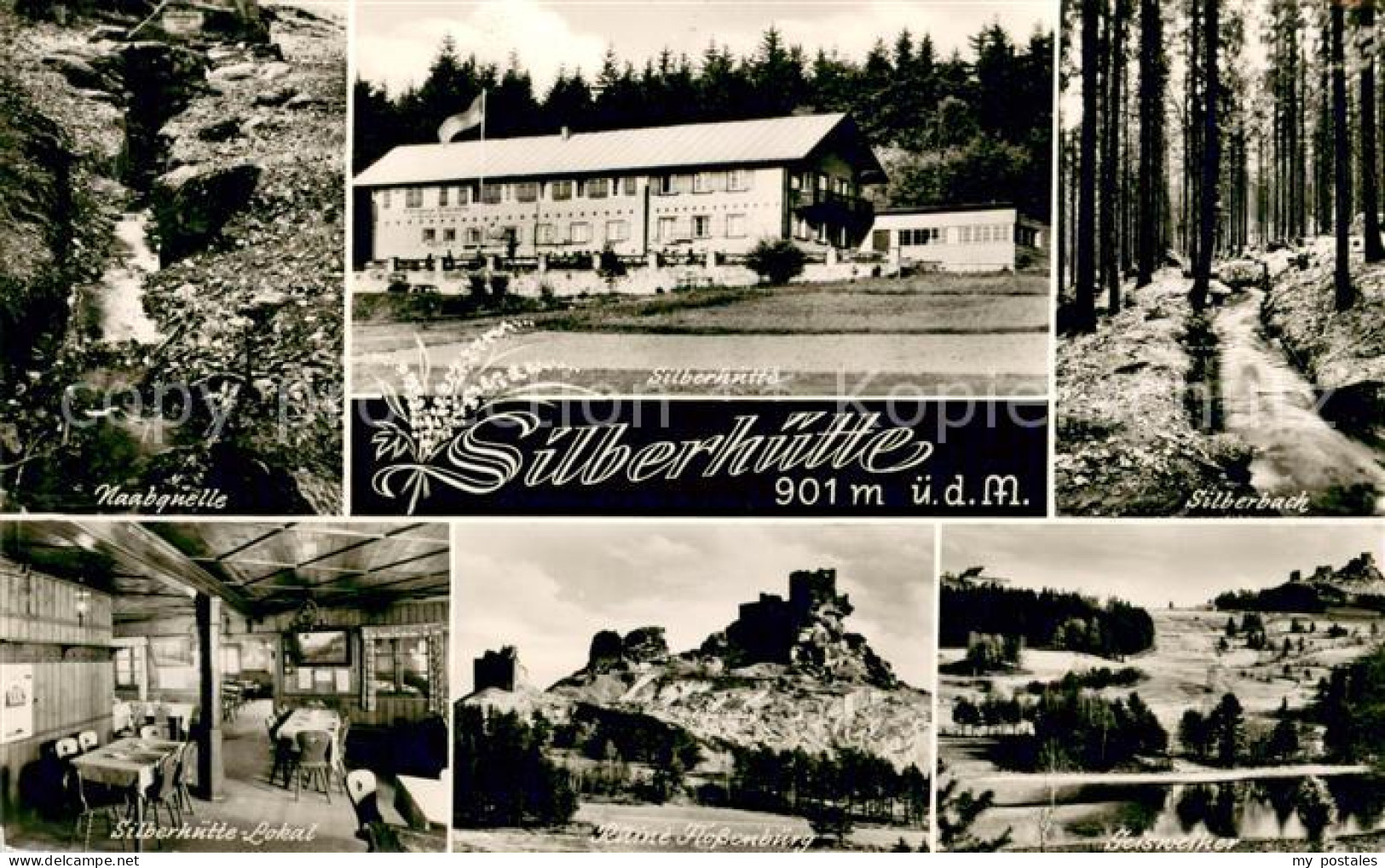 Silberhuette Tirschenreuth Naabquelle Silberhuette Silberbach Gaststube Ruine Fl