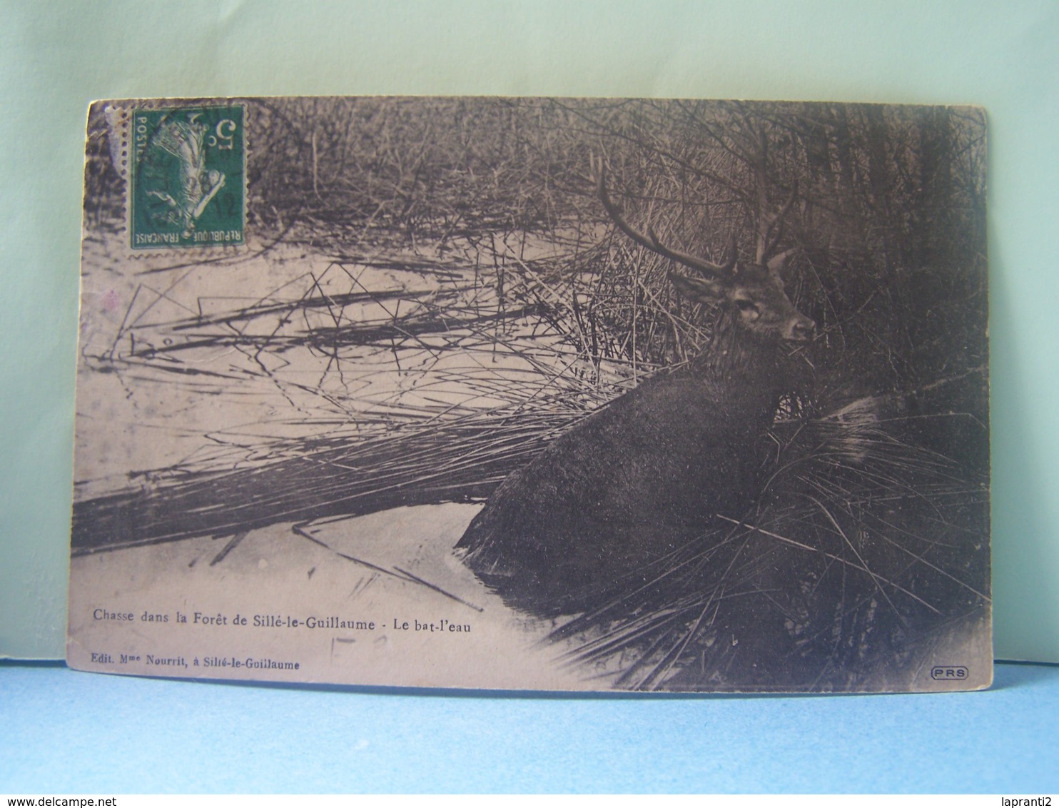 SILLE-LE-GUILLAUME (SARTHE) LA VENERIE. CHASSE DANS LA FORET DE SILLE-LE-GUILLAUME. LE BAT-L'EAU.