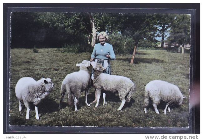 SILLY LA POTERIE MAISON REPOS