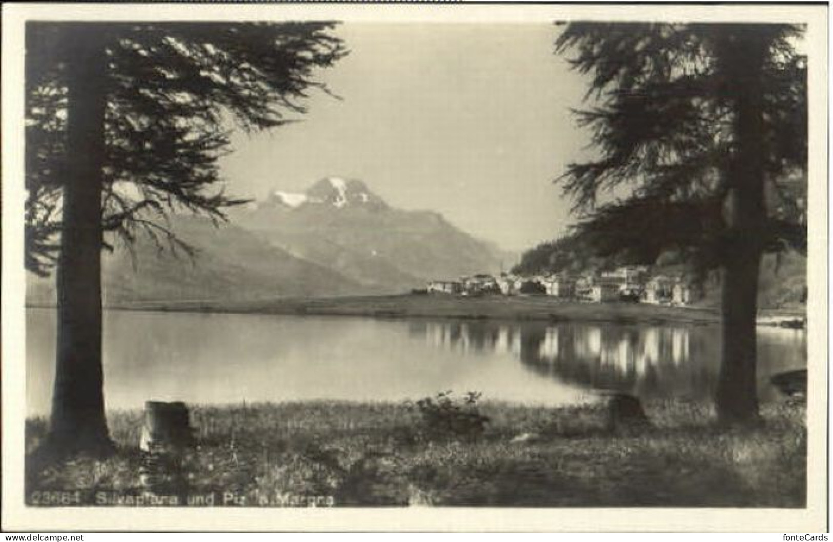 Silvaplana Silvaplana