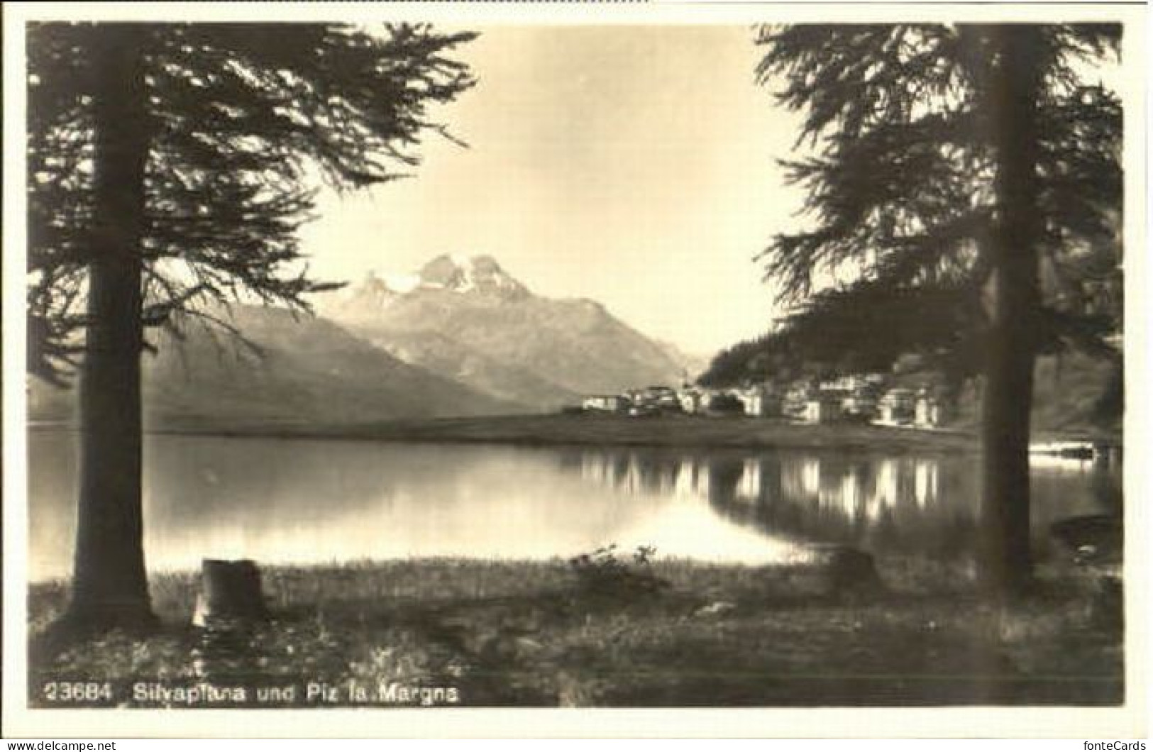 Silvaplana Silvaplana