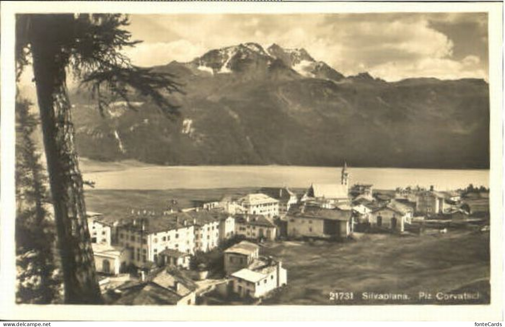 Silvaplana Silvaplana