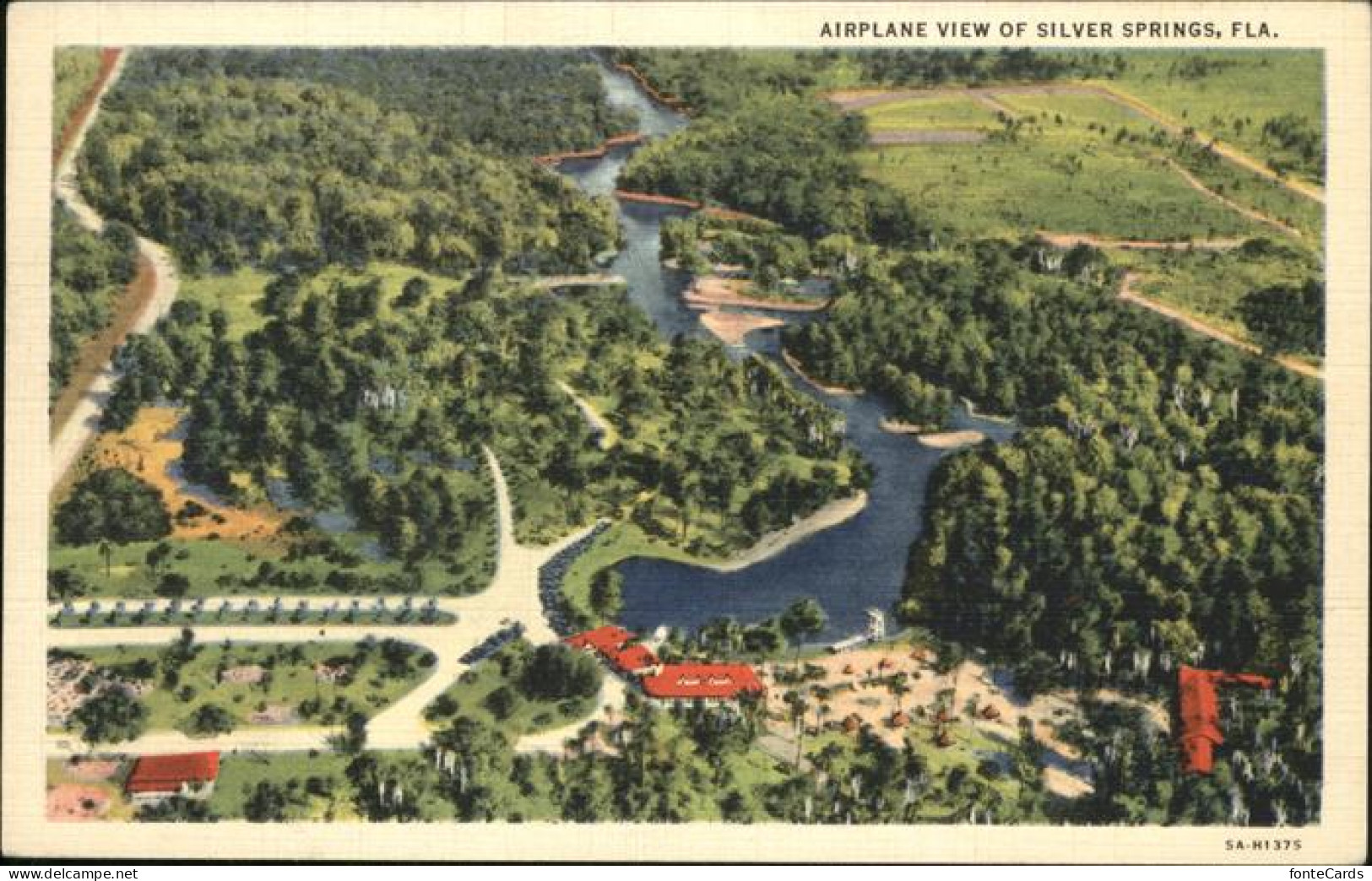 Silver Springs Florida Airplane View