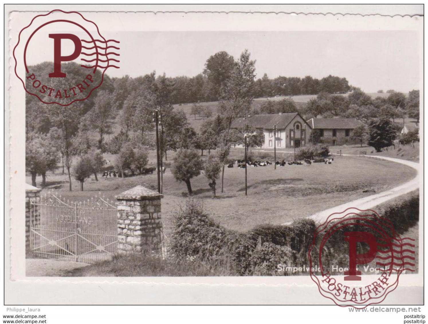 simpelveld hoeve vogelzang