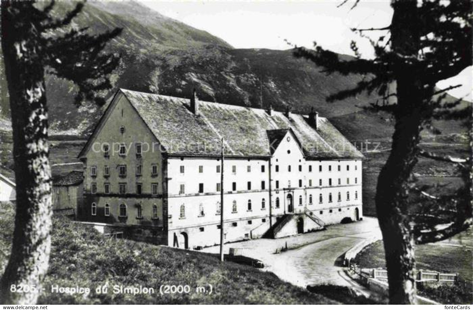 Simplon 2500m VS Hospice du Simplon