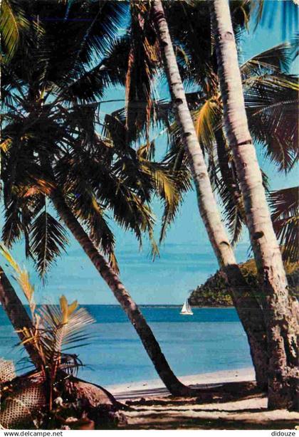 Afrique Noire - Afrique en Couleurs - 5007 - Plage de cocotiers - CPM - Carte neuve - Voir Scans Recto-Verso