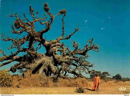 Carte Postale - Afrique - Afrique en couleurs - 8233 - baobab - CPM - Voir Scans Recto-Verso