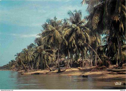 Carte Postale - Afrique Noire - Afrique en Couleurs - 8215 - Plage de cocotiers - CPM - Voir Scans Recto-Verso - Poscard