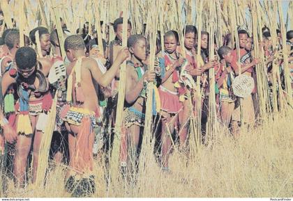Swaziland Reed Dance Ceremony Africa Postcard