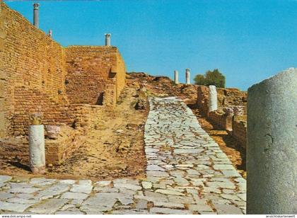 Tunesien, Carthage, ruines romaines ngl #F4472