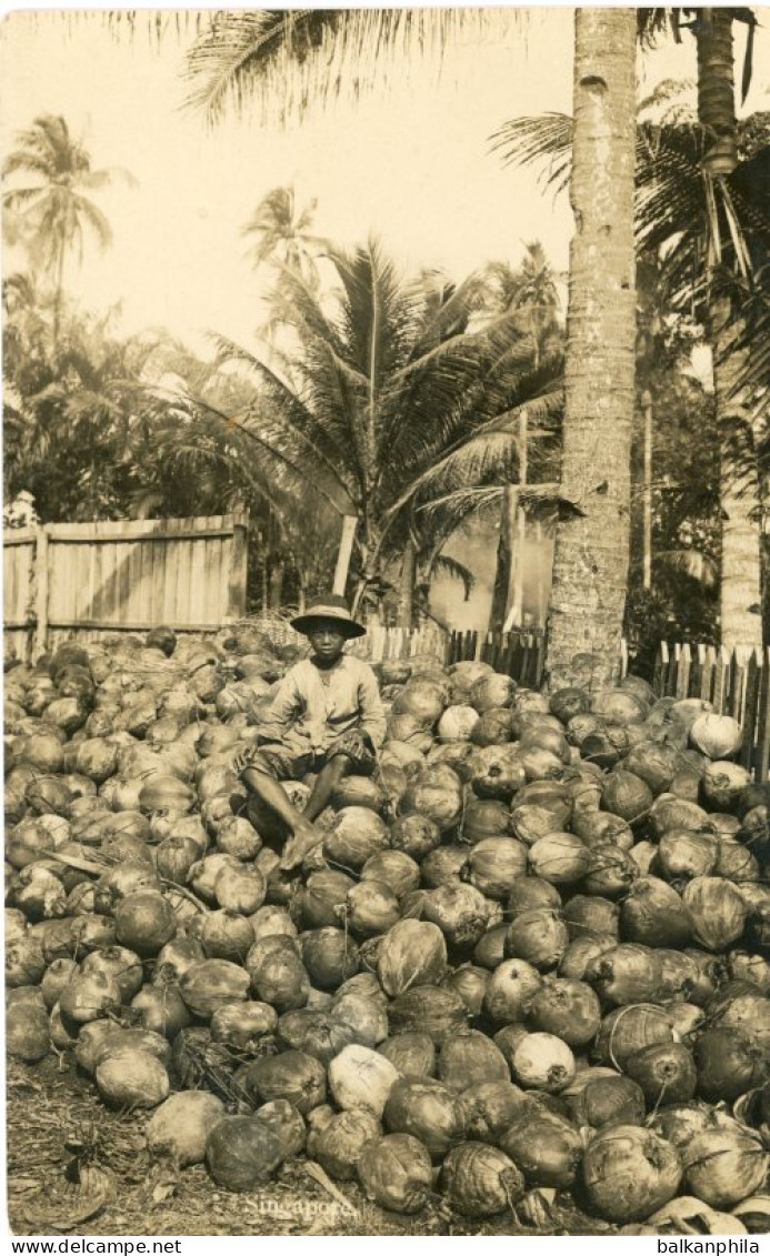 Singapore Malaya Coconuts