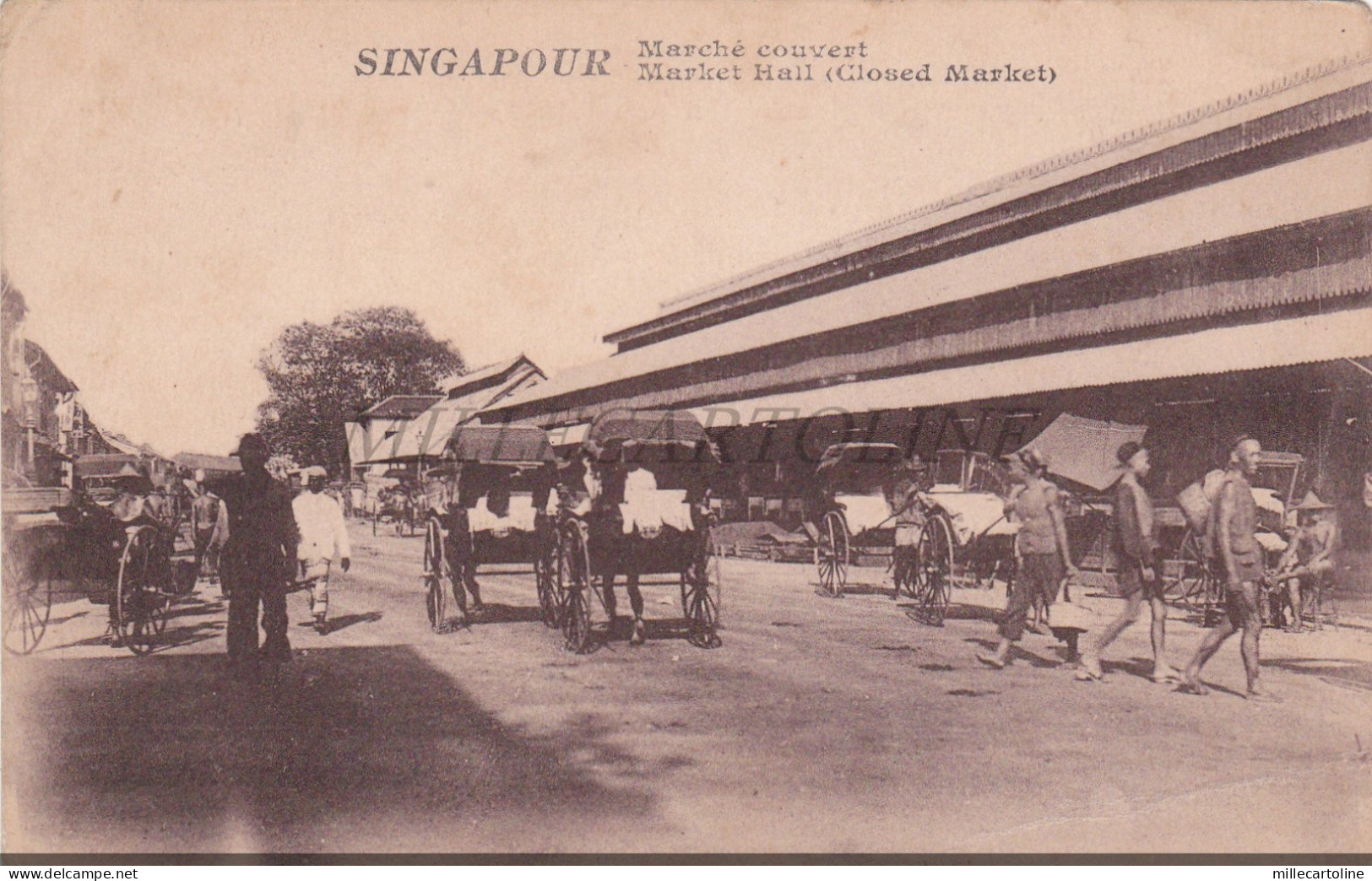 SINGAPORE - Singapour, Marché couvert, Postcard