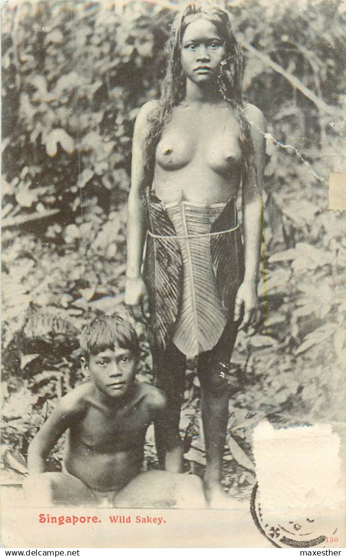 SINGAPORE Wild Sakey