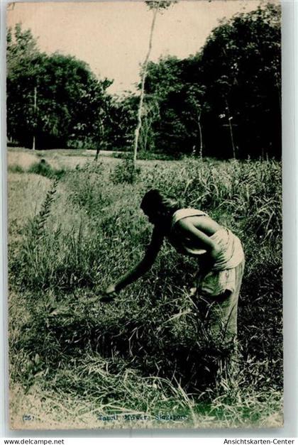 10361110 - Singapore