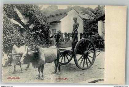 14005288 - Singapore