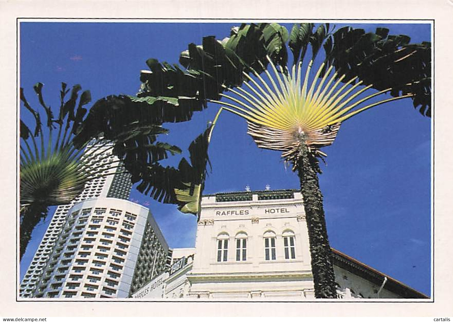 SINGAPOUR-SINGAPOUR-HOTEL RAFFLES-N°7119-B/0017