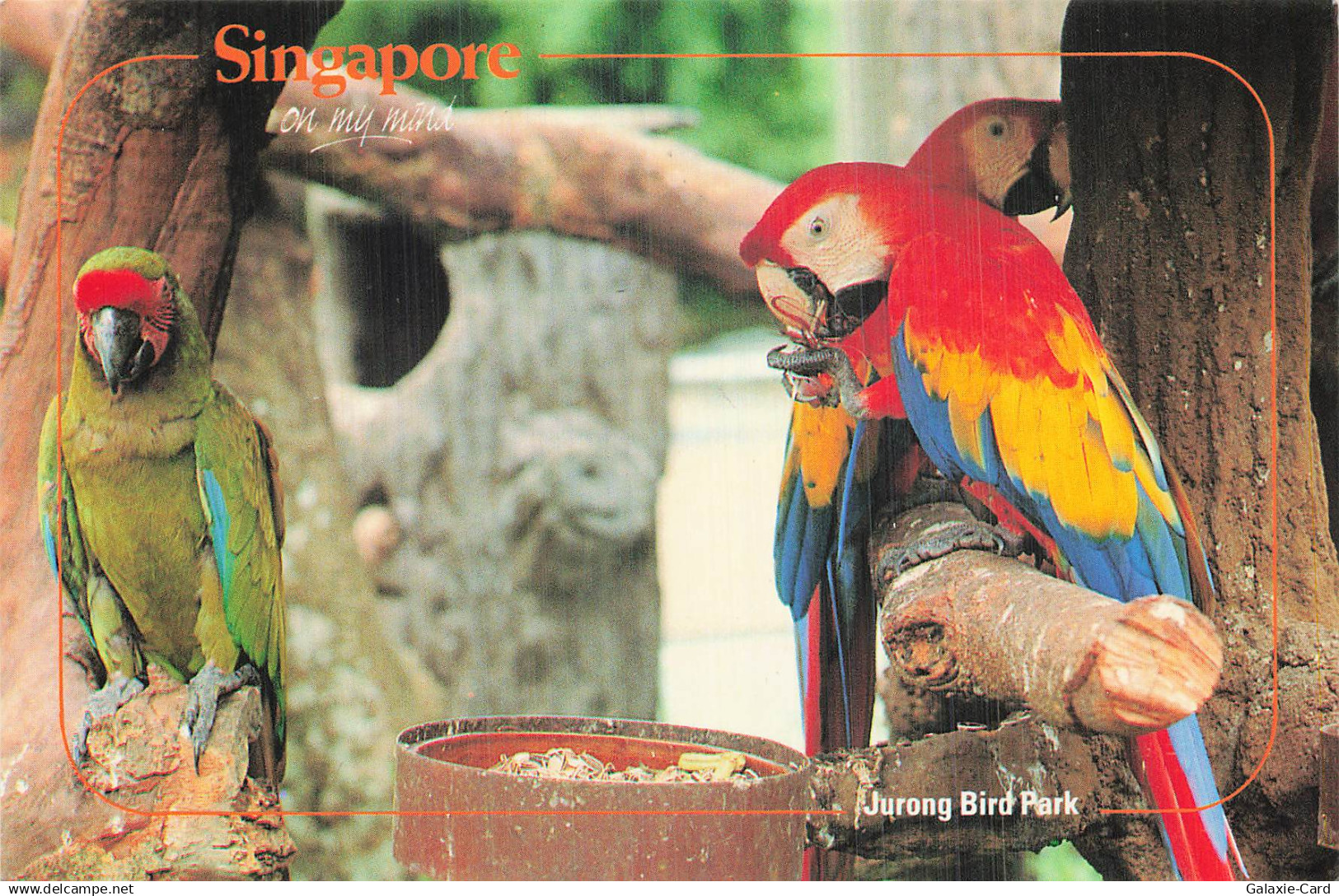SINGAPOUR SINGAPOUR JURONG BIRD PARK