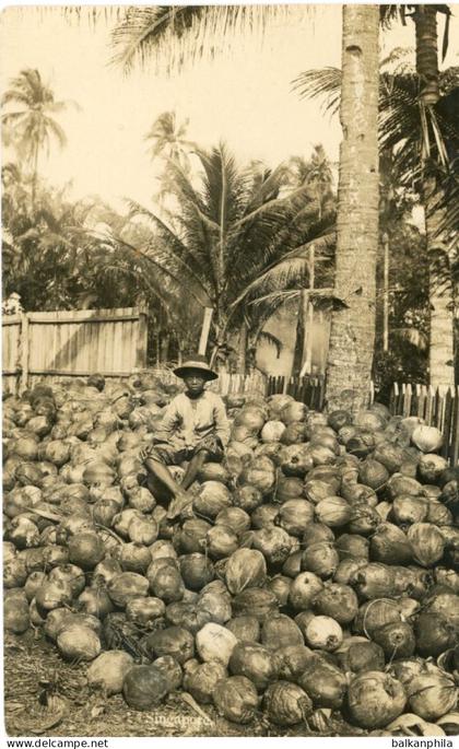 Singapore Malaya Coconuts