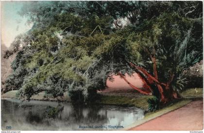 CPA  Carte Postale  Singapour Botanical Garden    VM109804ok