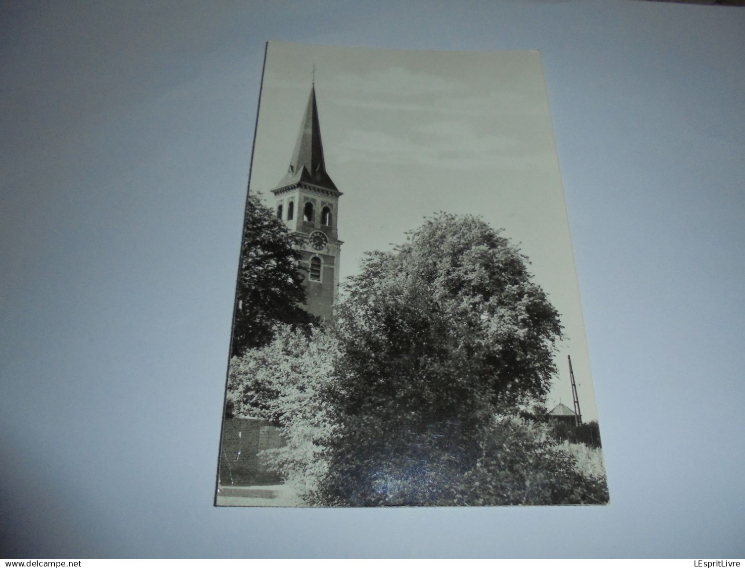 SINT AMANDS Schelde Rustig Hoekje Kerk Carte Postale Postcard