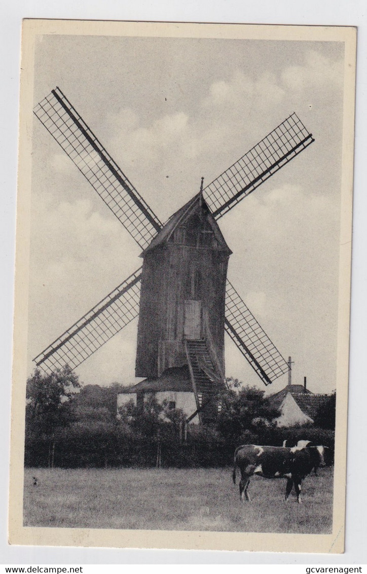 SINT MARTENS LATEM   DE MOLEN