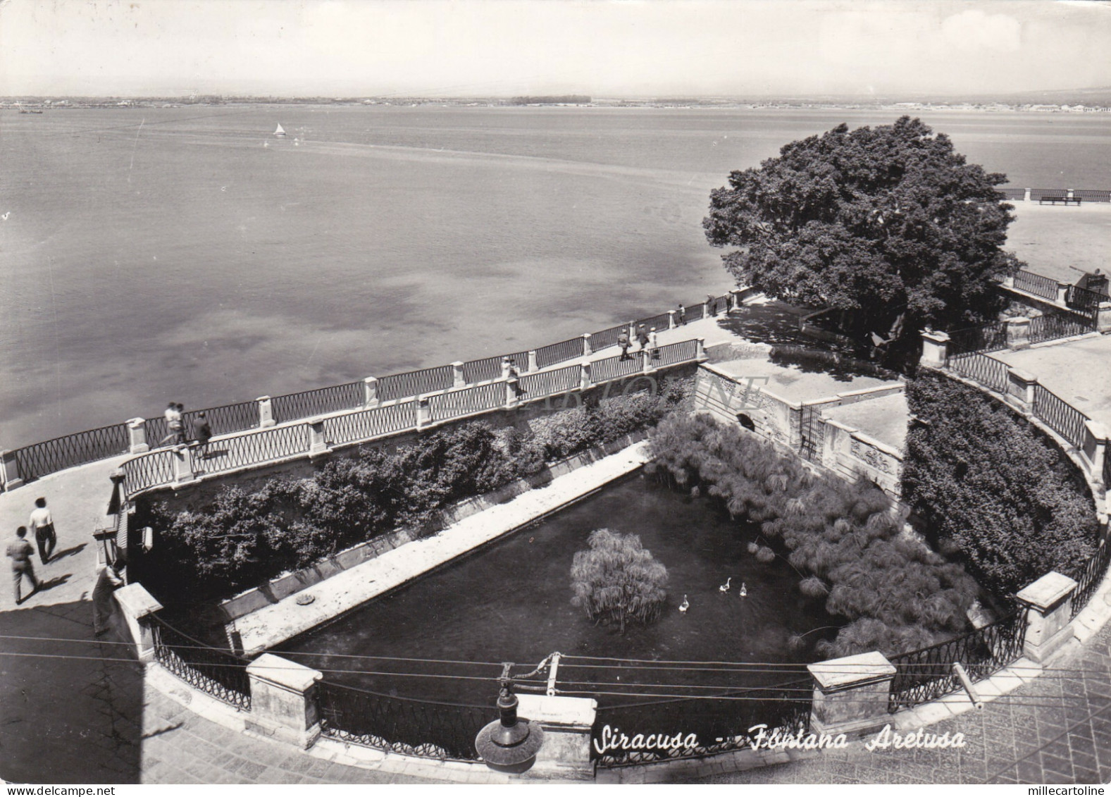 SIRACUSA - Fontana Aretusa
