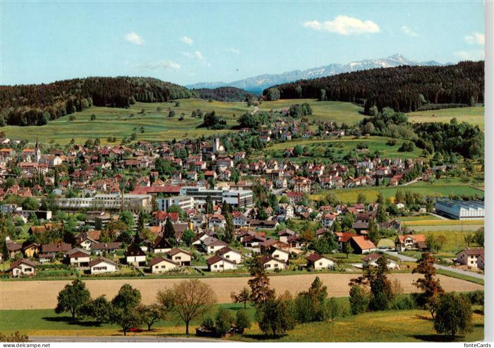Sirnach Panorama