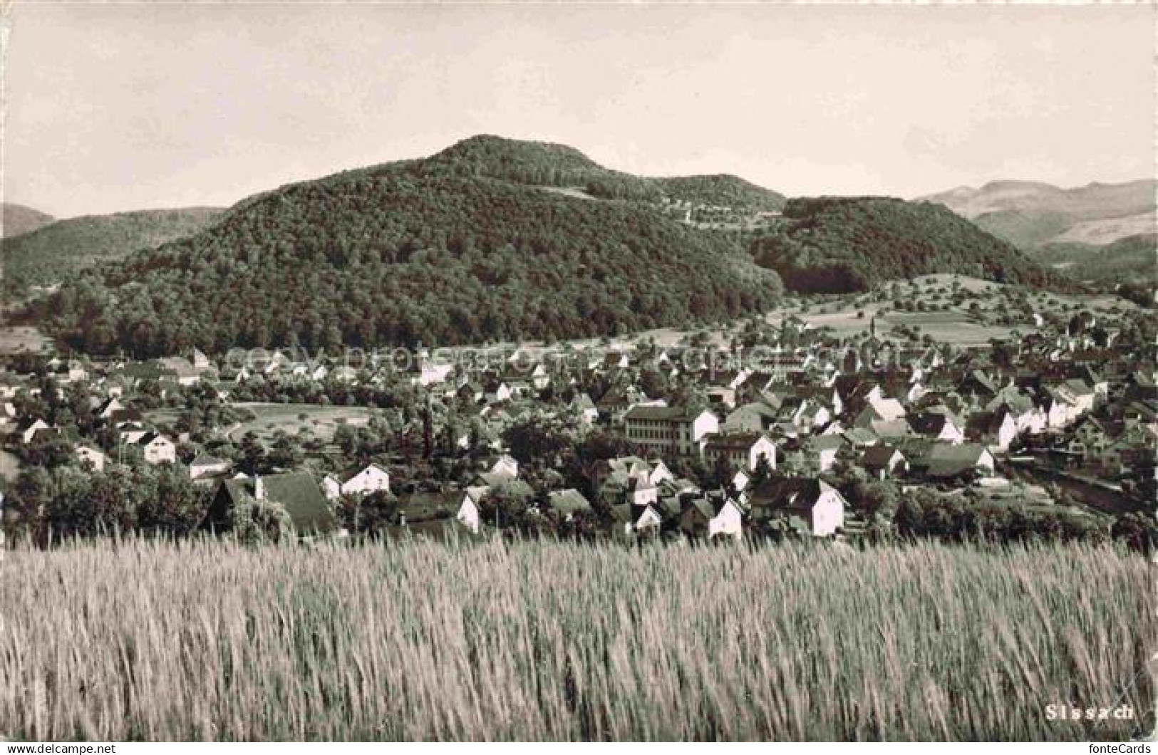 Sissach BL Panorama