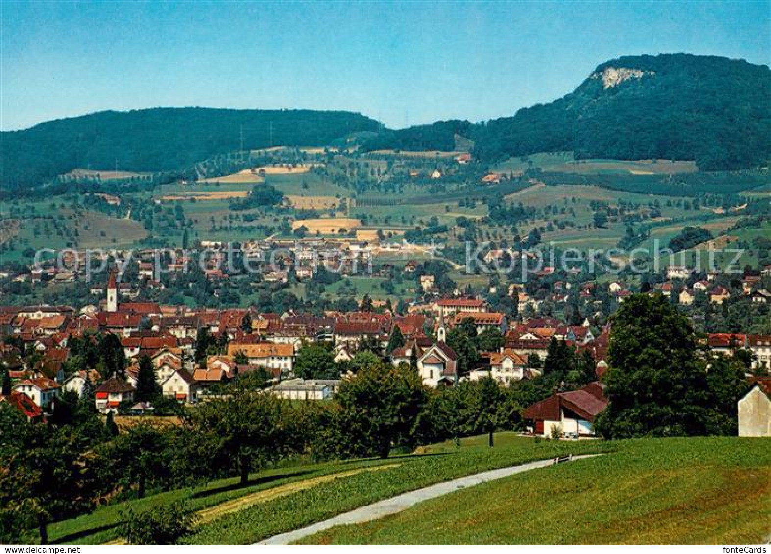 Sissach mit Sissacherfluh