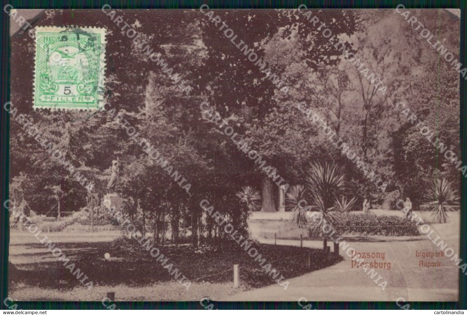 Slovacchia Bratislava Pozsony real photo postcard XC3213