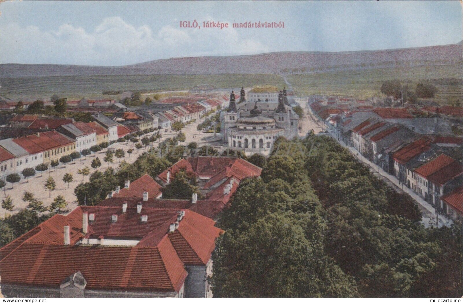 SLOVAKIA - Iglò Spisska Nova Ves - Latkepe madartavlatbol