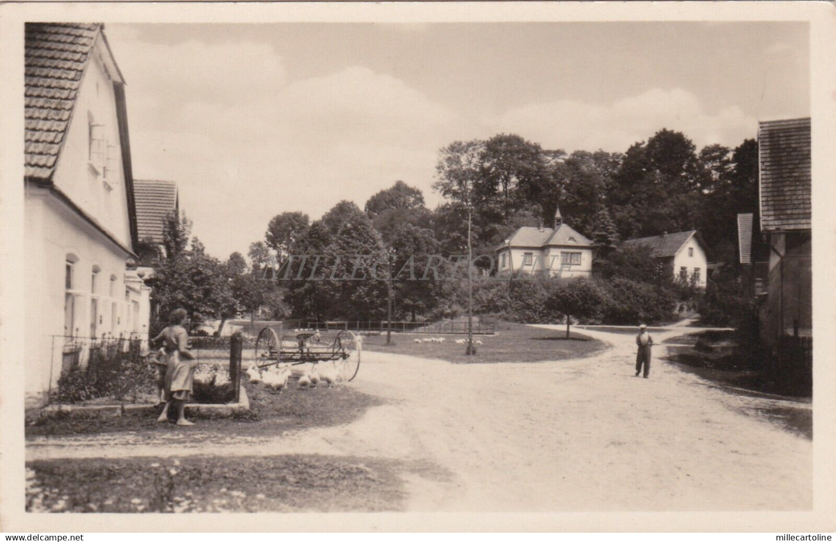 SLOVAKIA - Svidnice - Okr Rychnov n. Kn. - Foto Postkarte