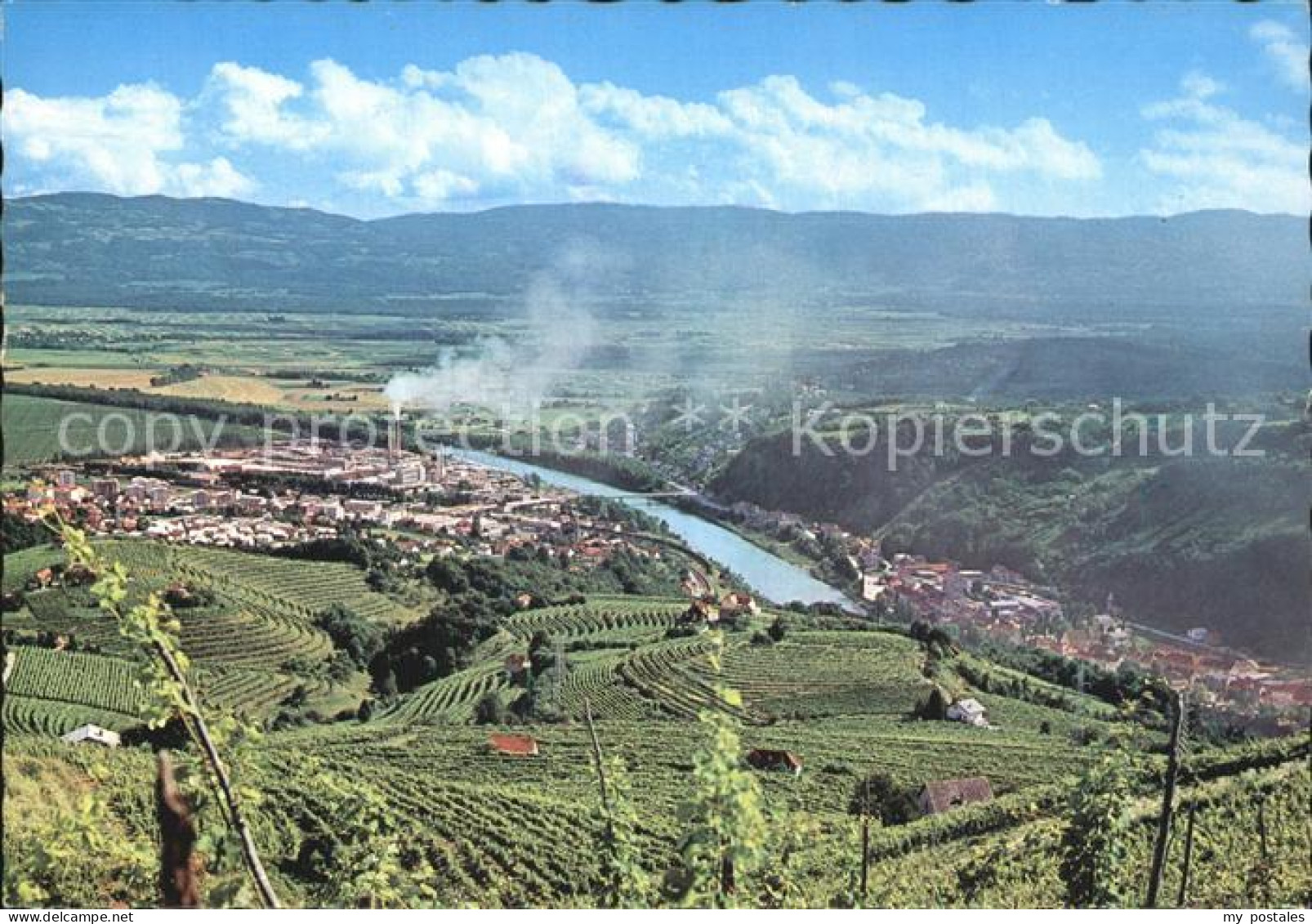 Slovenia Slowenien Blick vom Weinberg mit Fluss