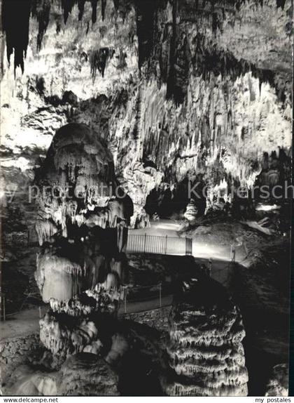 Postojnska Slowenien Tropfsteinhoehle