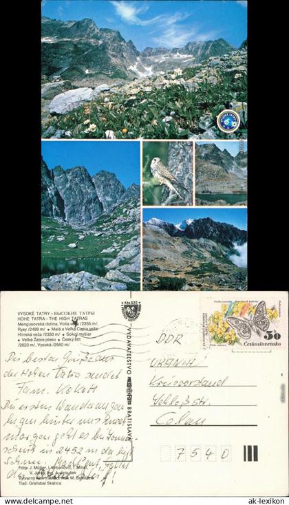 Ansichtskarte Slowakei Mengusovská dolina/Hohe Tatra, Vysoké Tatry 1979