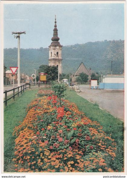 Plešivec