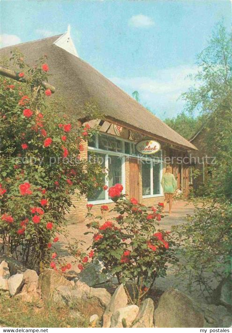 Smilde Drenthe NL Camping-de-Horrebieter Reetdach Rosen Frau Baeume Jannes-Brugg