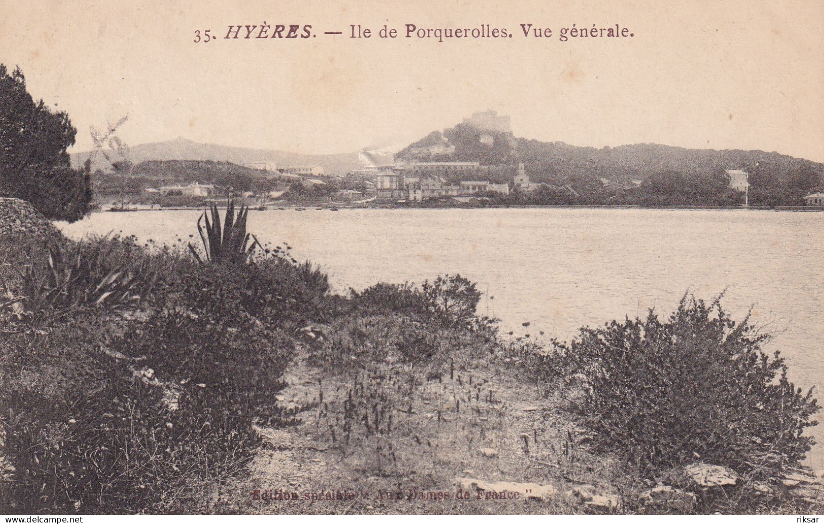 SOLLIES PONT(ARBRE)