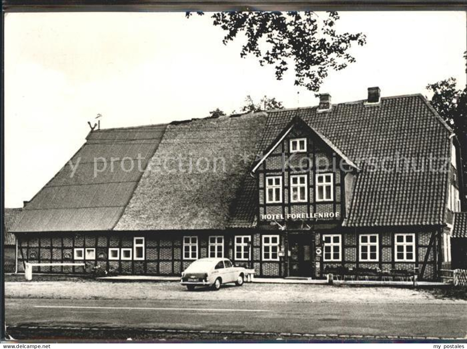 Soltau Hotel Forellenhof