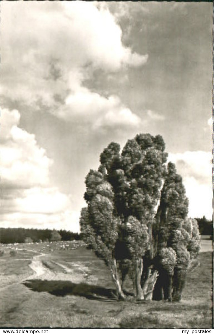 Soltau Overhaverbeck