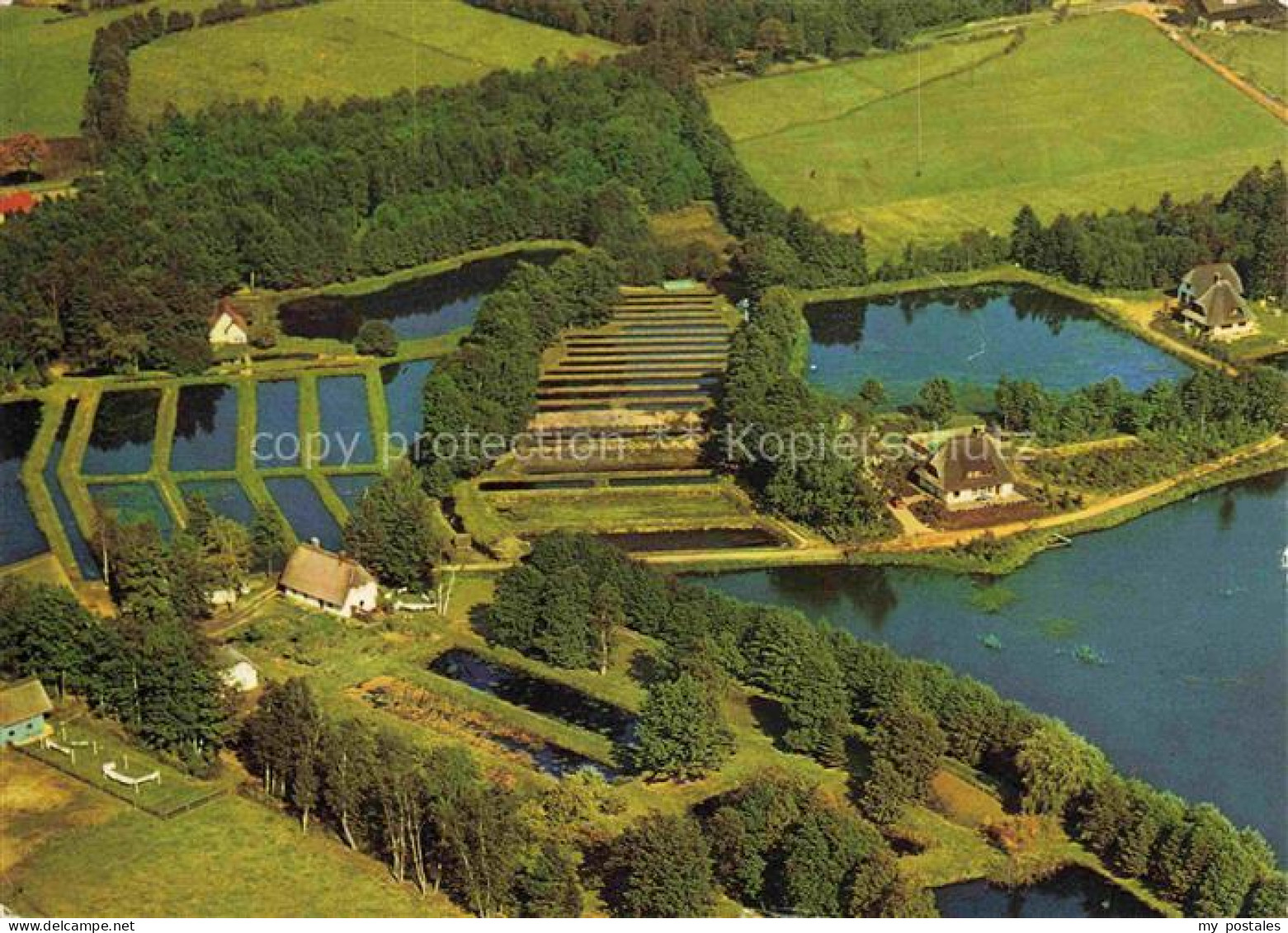 Soltau Soltau-Fallingbostel Niedersachsen Forellenzucht Spiekerhof Fliegeraufnah