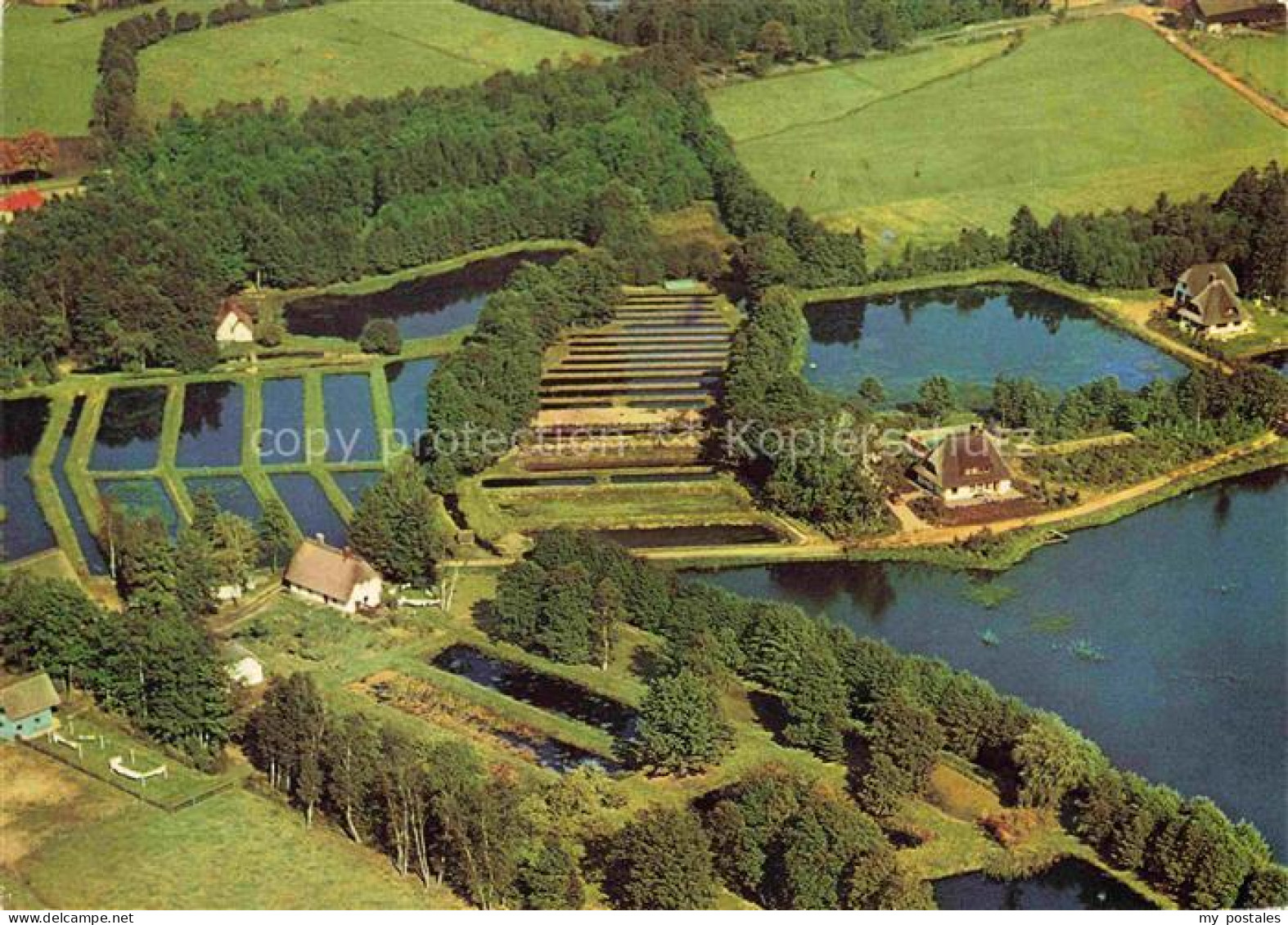 Soltau Soltau-Fallingbostel Niedersachsen Forellenzucht Spiekerhof Fliegeraufnah