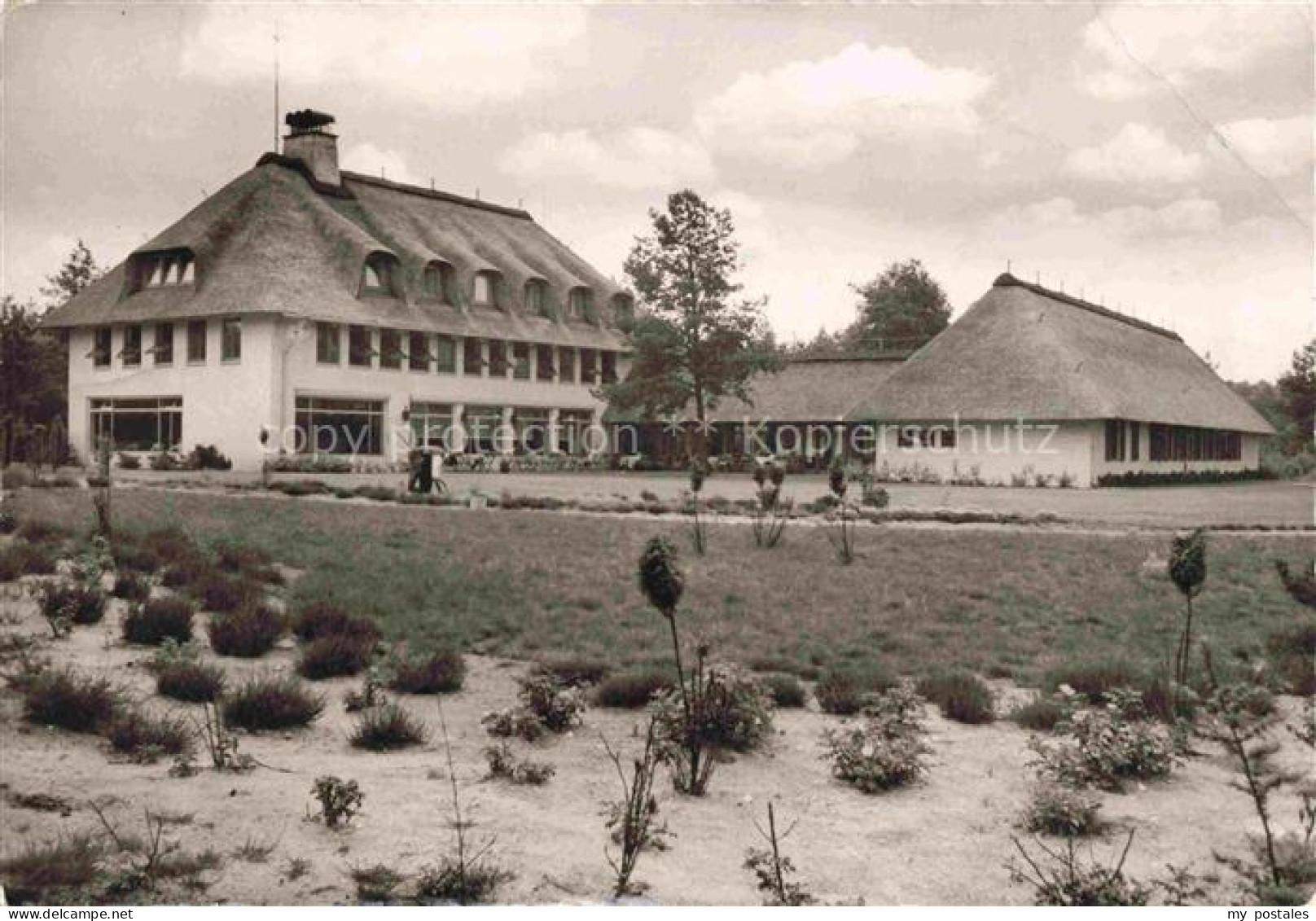 Soltau Soltau-Fallingbostel Niedersachsen Haus Heidiland
