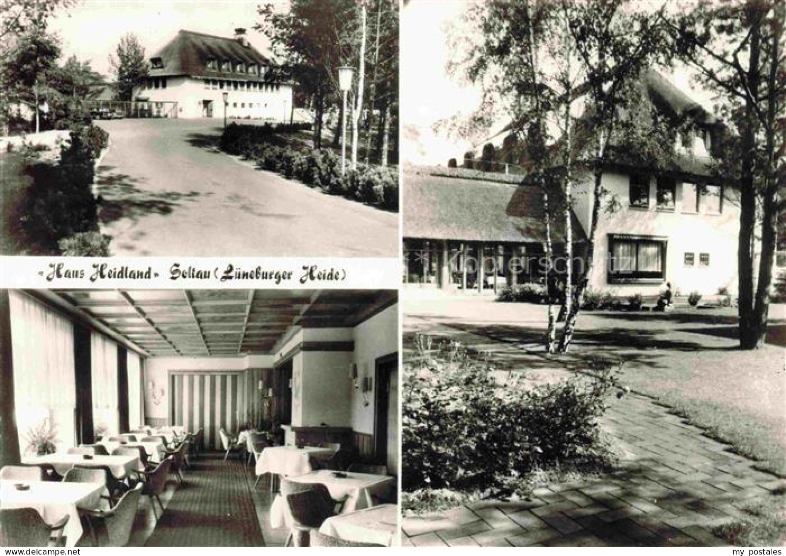 Soltau Soltau-Fallingbostel Niedersachsen Haus-Heidland Hotel Gastraum Birken He