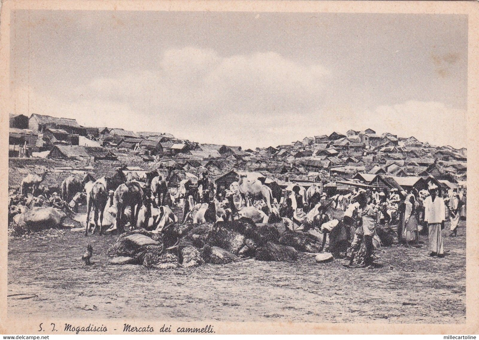 SOMALIA - Mogadiscio - Mercato dei cammelli