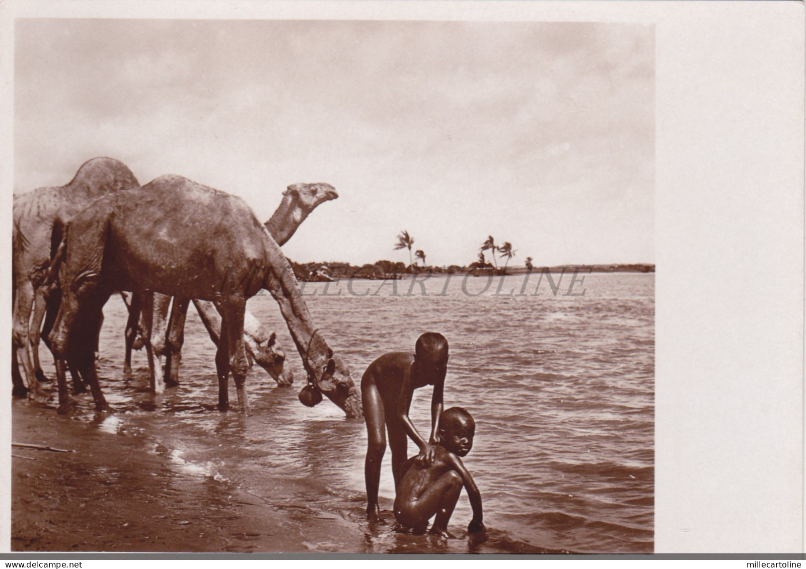 SOMALIA - Prime abluzioni, Parodi Mogadiscio Photo Postcard