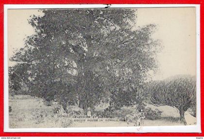 AFRIQUE --  SOMALIE - Genevrier